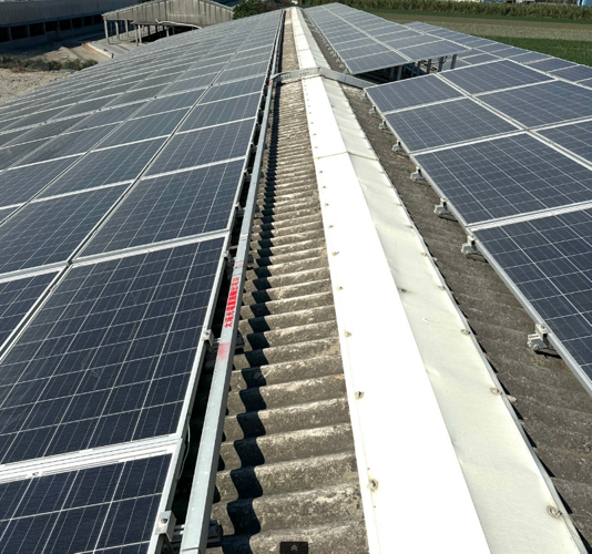 雲林東勢林先生鵝舍    216KW